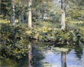 L’impressionnisme du canard Pond paysage Theodore Robinson